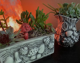 Jardineras de setas encantadas