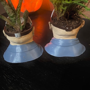 Puede incluir: Dos macetas de cer&aacute;mica con forma de cabeza humana pintadas de azul y blanco. Las macetas est&aacute;n llenas de plantas verdes y est&aacute;n sobre una superficie de madera oscura.