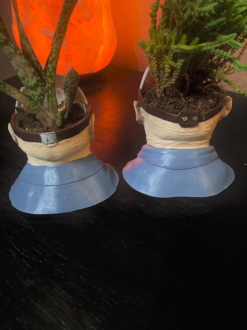 Puede incluir: Dos macetas de cer&aacute;mica con forma de cabeza humana pintadas de azul y blanco. Las macetas est&aacute;n llenas de plantas verdes y est&aacute;n sobre una superficie de madera oscura.