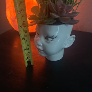 May include: A white ceramic head-shaped planter containing green and purple succulents. A yellow measuring tape is positioned vertically next to the planter, indicating a height of approximately 6 inches from the base to the top of the plants.