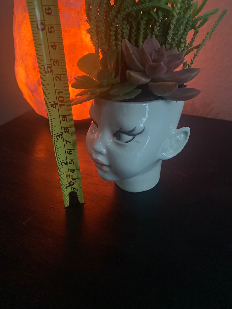 May include: A white ceramic head-shaped planter containing green and purple succulents. A yellow measuring tape is positioned vertically next to the planter, indicating a height of approximately 6 inches from the base to the top of the plants.