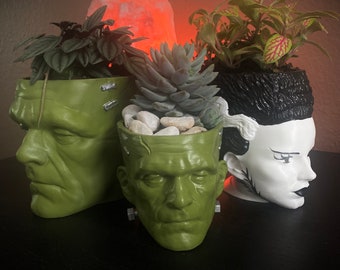 Frankenstein Planter with Drainage