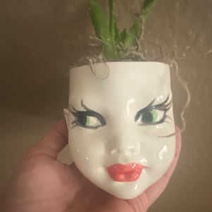 May include: A white ceramic planter shaped like a human face with painted green eyes, long black eyelashes, and bright red lips. The planter contains a small green succulent plant with thin, pointed leaves extending from the top opening.