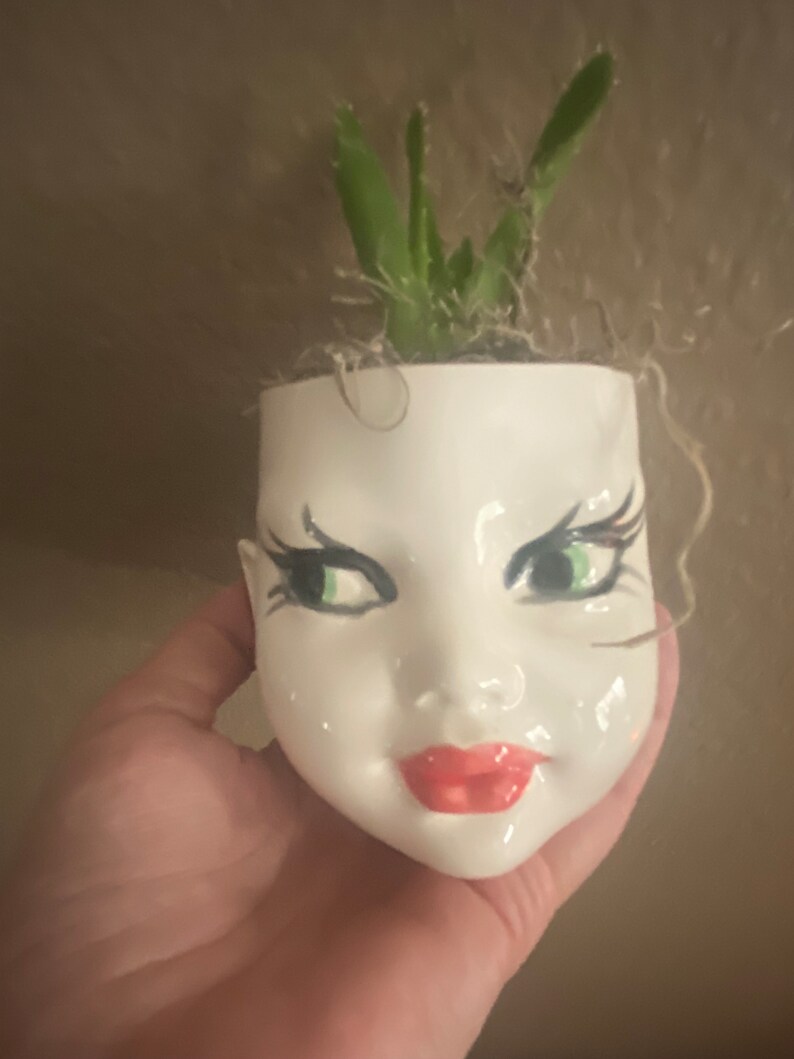 May include: A white ceramic planter shaped like a human face with painted green eyes, long black eyelashes, and bright red lips. The planter contains a small green succulent plant with thin, pointed leaves extending from the top opening.