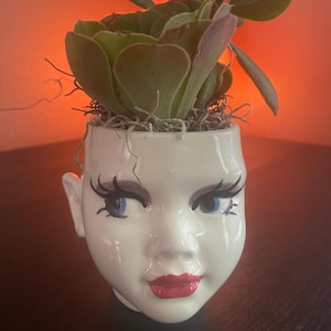 Pixie head Planter image 13