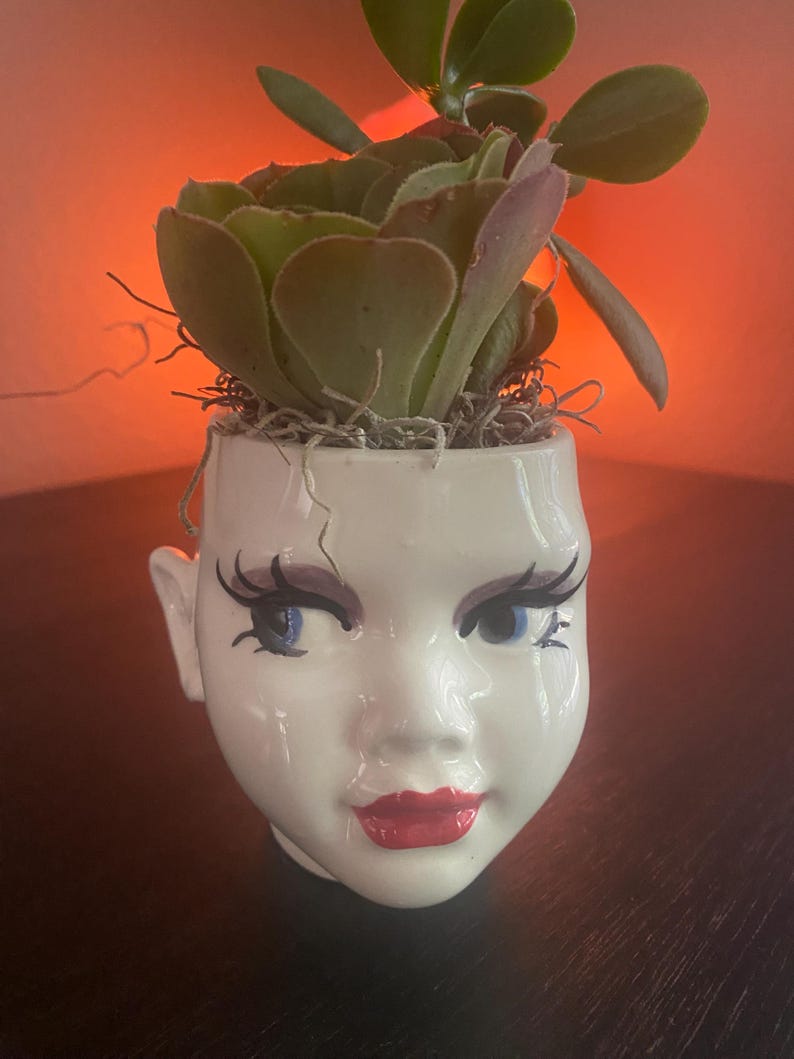 Pixie head Planter image 13