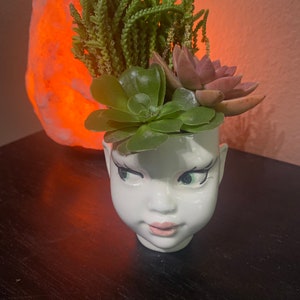 May include: A white ceramic planter shaped like a human head with painted facial features including dark eyelashes, green eyes, and pink lips. The planter is filled with a variety of green and reddish-brown succulents that sprout from the top.