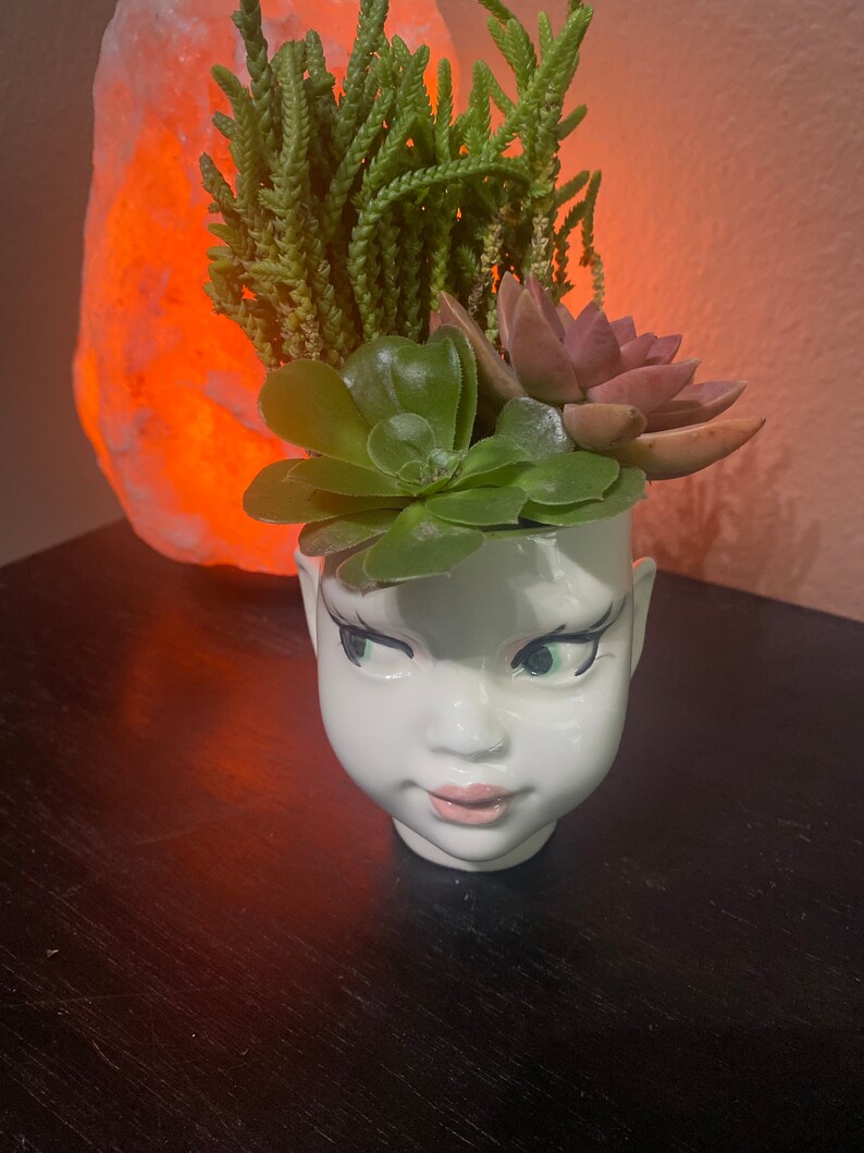 May include: A white ceramic planter shaped like a human head with painted facial features including dark eyelashes, green eyes, and pink lips. The planter is filled with a variety of green and reddish-brown succulents that sprout from the top.