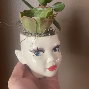 Pixie head Planter image 3