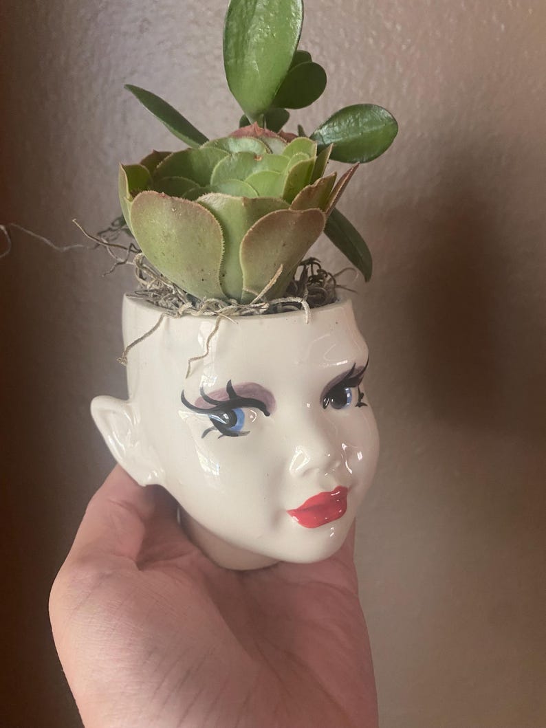 Pixie head Planter image 3