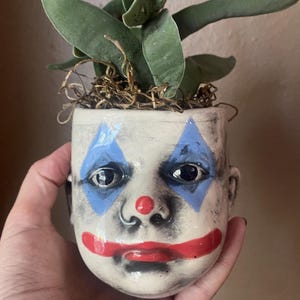 Vaso di fiori a forma di testa di pagliaccio.