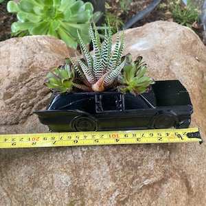 May include: A black car-shaped planter with a variety of succulents growing inside. The planter is sitting on a large rock with a yellow measuring tape in front of it.