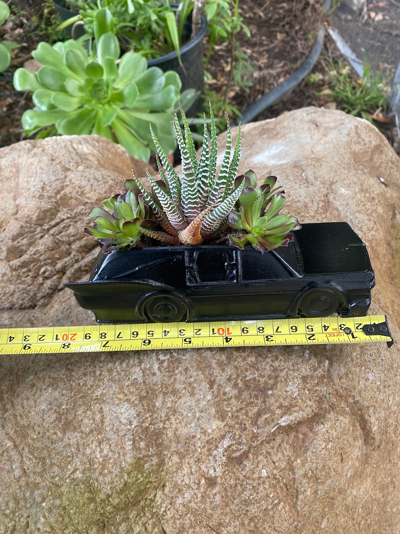 May include: A black car-shaped planter with a variety of succulents growing inside. The planter is sitting on a large rock with a yellow measuring tape in front of it.