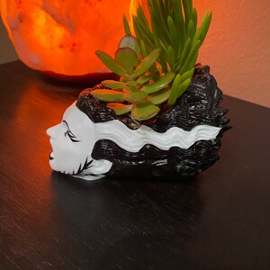 May include: A black and white ceramic planter shaped like the head of Frankenstein's monster, with green succulents growing inside.