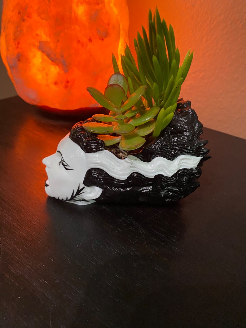 May include: A black and white ceramic planter shaped like the head of Frankenstein's monster, with green succulents growing inside.
