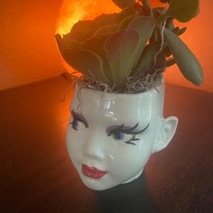 May include: A white ceramic head-shaped planter featuring painted facial features including blue eyes, long black eyelashes, and red lips. The planter contains a green succulent plant with thick leaves, nestled in a small amount of dried moss.