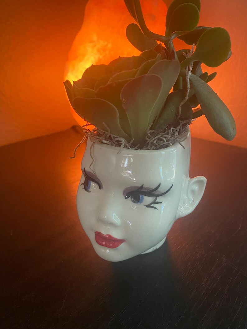 May include: A white ceramic head-shaped planter featuring painted facial features including blue eyes, long black eyelashes, and red lips. The planter contains a green succulent plant with thick leaves, nestled in a small amount of dried moss.