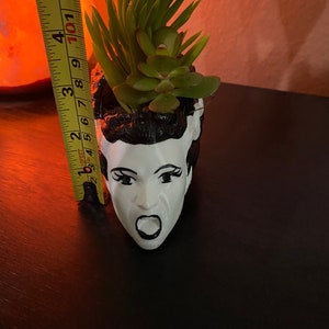 May include: A white ceramic planter shaped like a face with a black and white design. The planter has a green succulent plant growing out of the top.