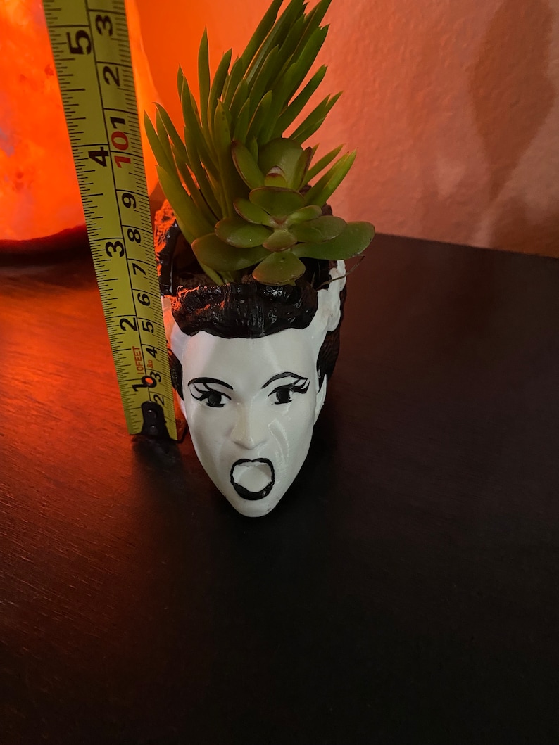 May include: A white ceramic planter shaped like a face with a black and white design. The planter has a green succulent plant growing out of the top.