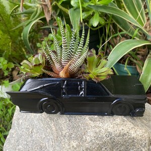 May include: A black car-shaped planter with three succulents growing inside. The succulents are green and have white stripes. The planter is sitting on a gray rock.