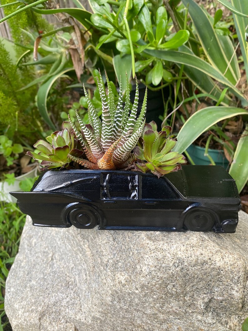 May include: A black car-shaped planter with three succulents growing inside. The succulents are green and have white stripes. The planter is sitting on a gray rock.