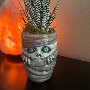 May include: A small green succulent plant in a ceramic pot shaped like a mummy with green eyes. The pot is decorated with brown and white stripes to resemble bandages.