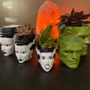 May include: Five black and white ceramic planters shaped like monster heads with green succulents growing inside. The planters are arranged on a dark wood surface in front of a Himalayan salt lamp.