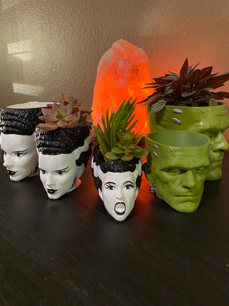 May include: Five black and white ceramic planters shaped like monster heads with green succulents growing inside. The planters are arranged on a dark wood surface in front of a Himalayan salt lamp.
