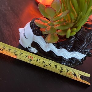 May include: Black and white ceramic planter shaped like a woman's head with black hair and white skin. The planter is 7 inches long and has a succulent plant growing inside.