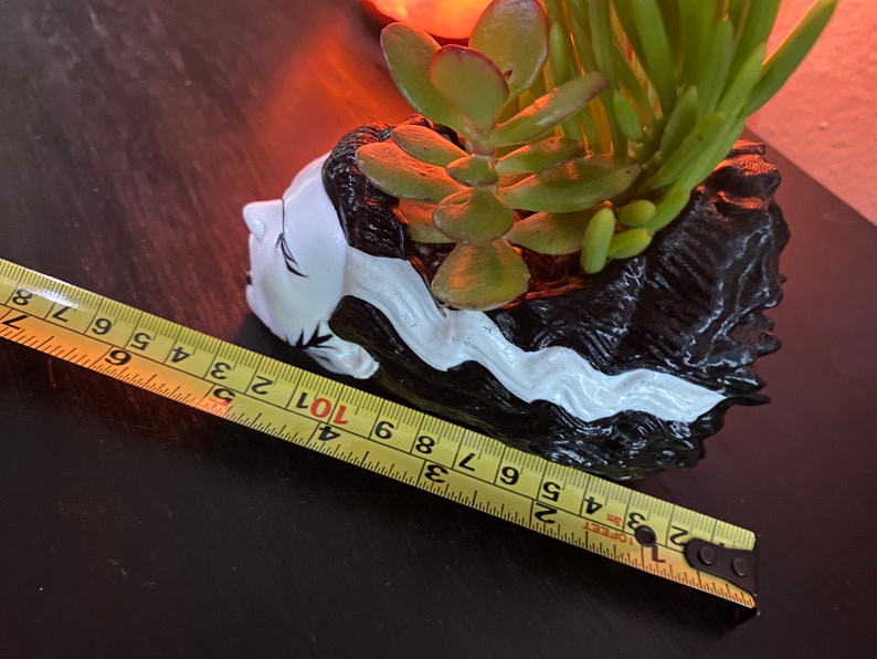 May include: Black and white ceramic planter shaped like a woman's head with black hair and white skin. The planter is 7 inches long and has a succulent plant growing inside.