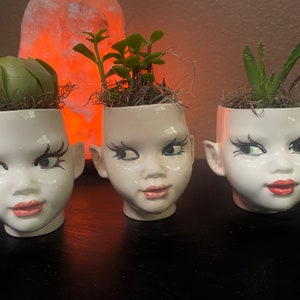 May include: Three white ceramic planters shaped like human heads with painted facial features including green eyes, long black eyelashes, and pink lips. Each planter contains a small green succulent plant nestled in brown moss.