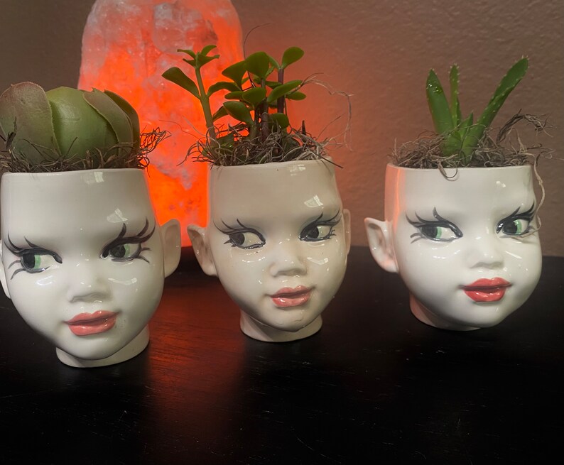 May include: Three white ceramic planters shaped like human heads with painted facial features including green eyes, long black eyelashes, and pink lips. Each planter contains a small green succulent plant nestled in brown moss.