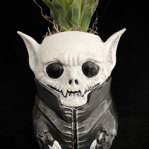 May include: A white and black skull-shaped plant pot with a small succulent. The pot features a detailed skull face, large black eye sockets, and a black jacket design. The plant has green leaves and brown roots.