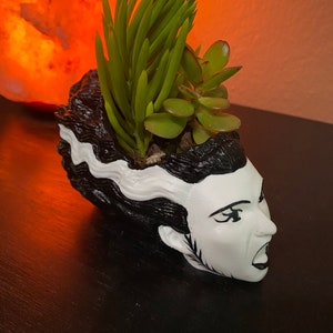 May include: A black and white ceramic planter shaped like the head of Frankenstein's monster. The planter is filled with green succulents.