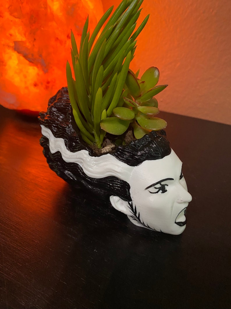 May include: A black and white ceramic planter shaped like the head of Frankenstein's monster. The planter is filled with green succulents.