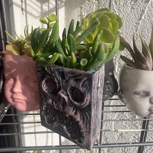 May include: A black and gray planter shaped like a face with a distressed wood-like texture. The planter is filled with green succulents.