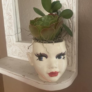 May include: A ceramic head-shaped planter with a glossy cream finish, featuring painted blue eyes, long black eyelashes, and red lips. The planter holds a green succulent plant with rounded leaves and dried moss tucked around the base of the plant.