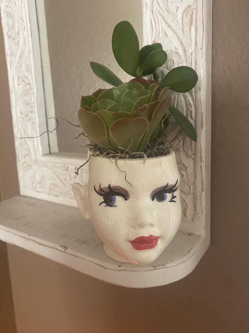 May include: A ceramic head-shaped planter with a glossy cream finish, featuring painted blue eyes, long black eyelashes, and red lips. The planter holds a green succulent plant with rounded leaves and dried moss tucked around the base of the plant.