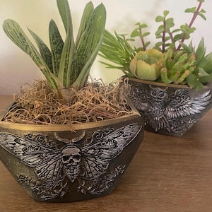 Op de afbeelding: Twee decoratieve vierkante plantenbakken met planten. Eén plantenbak heeft een mot- en schedelontwerp, de andere een uil. Beide zijn donkergroen met zilveren accenten en gouden randen. De planten omvatten vetplanten en ander groen.