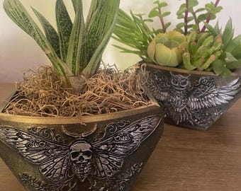 Mystical planters owl and death moth