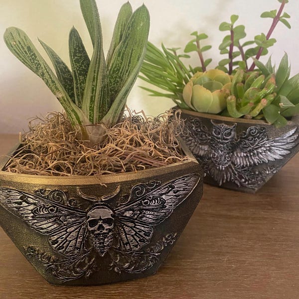 神秘的なプランターフクロウと死の蛾