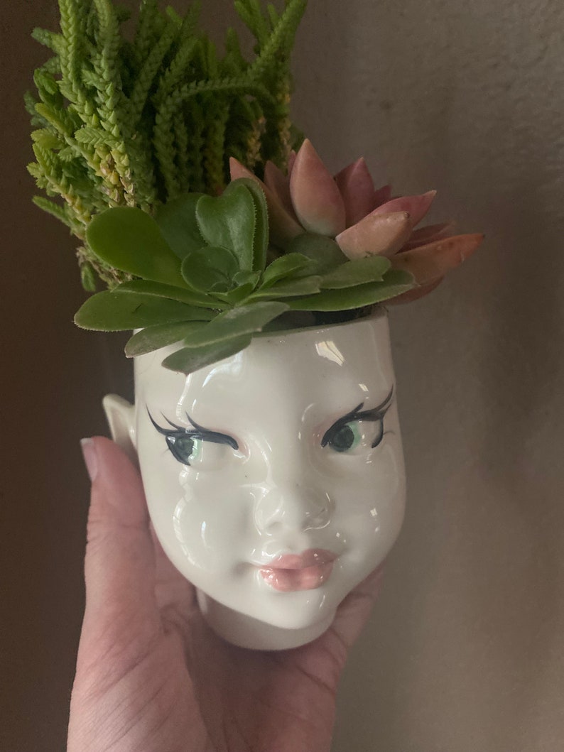 May include: A white ceramic planter shaped like a human head with painted facial features including black winged eyeliner, green eyes, and pink lips. The planter is filled with a variety of green and pink succulent plants growing from the top.