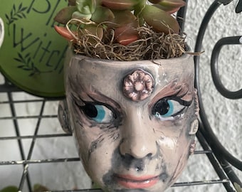 Strange garden fairy head Planter