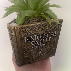 以下が含まれることがあります： 「Historical Smut」と書いてある金色の本の形をしたプランター。緑色の多肉植物がプランターの中で育っています。