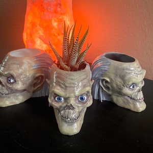 Puede incluir: Tres macetas de cerámica con forma de cráneo humano con ojos azules. La maceta del centro tiene una pequeña planta suculenta verde que crece en ella.