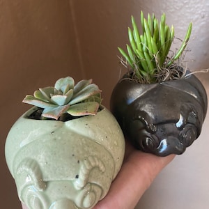 May include: Two small ceramic planters, one light green and one dark grey, each shaped like a face. The light green planter holds a succulent, while the dark grey one contains a cluster of green plants. The planters are held in a hand.