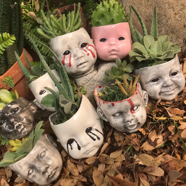 Creepy baby head succulents planter