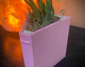 Maceta con forma de libro impresa en 3D: Maceta para suculentas y cactus, organizador de escritorio