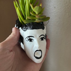 May include: A white ceramic planter shaped like a person's head with black hair and a surprised expression. The planter is filled with green succulents.