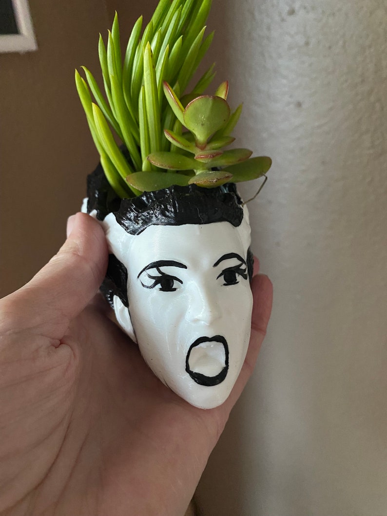 May include: A white ceramic planter shaped like a person's head with black hair and a surprised expression. The planter is filled with green succulents.